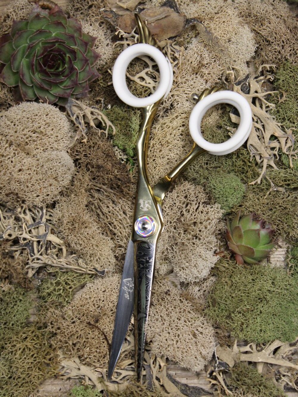 Groombox 6in Fly High Curved Scissors
